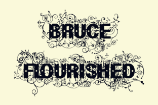 Bruce Flourished: A Practical Evaluation for Informed Decisions