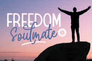 Freedom Soulmate Duo: A Dual-Mode Framework for Human-Centered Connection Design