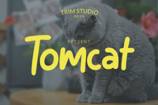 What Is Apache Tomcat? A Clear, Practical Guide for Developers and Learners