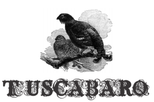 What Is Tuscabaro — And When Does It Fit Your Needs?